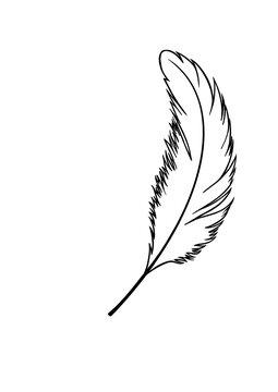 feather and ink