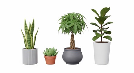 Fototapeta premium Verdant Trio: Sculpted Forms in Gentle Light
