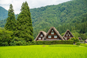 世界遺産　白川郷合掌造り集落　かん町三つ子合掌　夏 © Hiro074