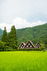 世界遺産　白川郷合掌造り集落　かん町三つ子合掌　夏 © Hiro074