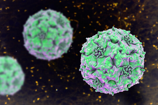 Parvoviruses, 3D illustration showing small non-enveloped icosahedral DNA viruses, including pathogens such as parvovirus B19 and canine parvovirus.