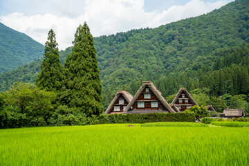 世界遺産　白川郷合掌造り集落　かん町三つ子合掌　夏 © Hiro074