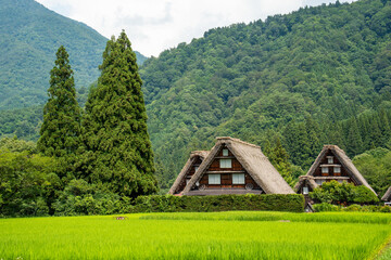 世界遺産　白川郷合掌造り集落　かん町三つ子合掌　夏 © Hiro074