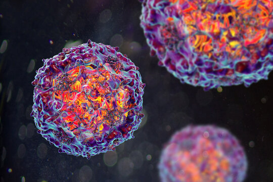 Parvoviruses, 3D illustration showing small non-enveloped icosahedral DNA viruses, including pathogens such as parvovirus B19 and canine parvovirus.