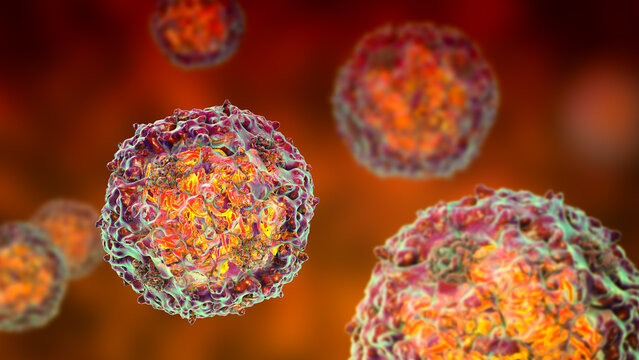 Parvoviruses, 3D illustration showing small non-enveloped icosahedral DNA viruses, including pathogens such as parvovirus B19 and canine parvovirus.