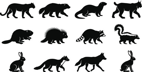 Obraz premium Wild Mammal Silhouette Collection with Forest Animals and Wildlife Vector SetWild Mammal Silhouette Collection with Forest Animals and Wildlife Vector Set