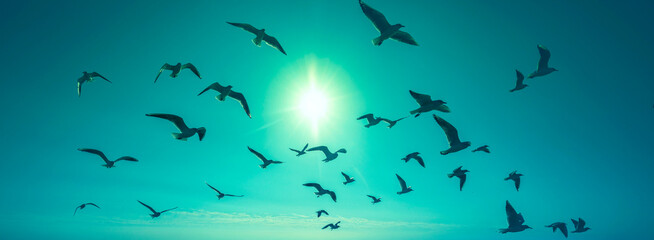 Obraz premium Sunset over the sea. Seagulls flying on the beach. Atlantic ocean in evening, Porto, Portugal, Europe