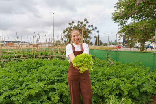Smiling woman holds fresh lettuce in an urban community garden