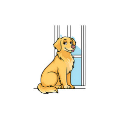 Obraz premium Cute golden retriever dog sitting and waiting patiently by a glass door in a home setting