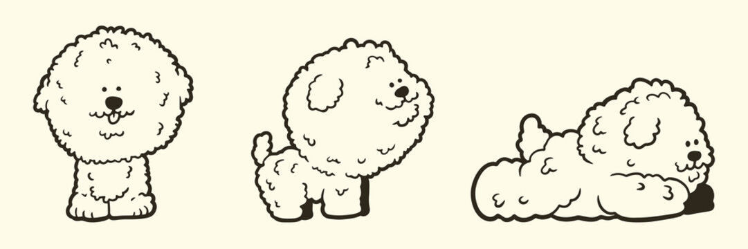 Cute bichon frise dog character set showing sitting standing and lying poses simple line art doodle vector illustration isolated on light background