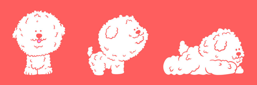 Cute white bichon frise dog character set in different poses cartoon vector illustration isolated on red coral background