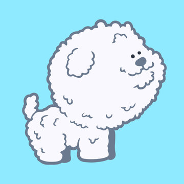Cute fluffy white bichon frise dog standing profile view cartoon vector illustration isolated on blue background.