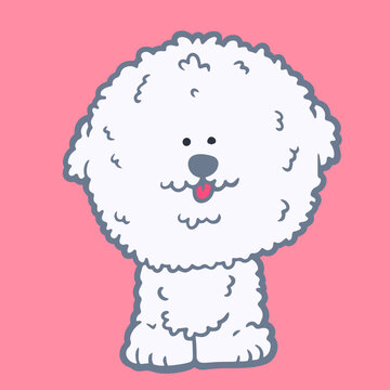 Cute fluffy white bichon frise dog sitting front view smiling with tongue out cartoon vector illustration isolated on pink background