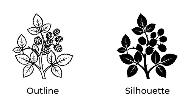 Blackberry Outline and Silhouette: A detailed outline and a stark silhouette of a blackberry bush, showcasing its leaves and berries.