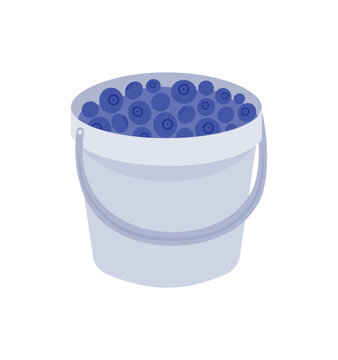 Bucket full of fresh blueberries - flat vector illustration of berry harvest.