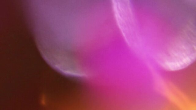 beauty evening light leak overlay background.