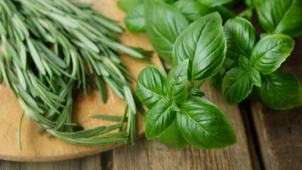 Basil leaves and rosemary sprigs on wooden board. Fresh herbs background, seasoning. © meteoritka