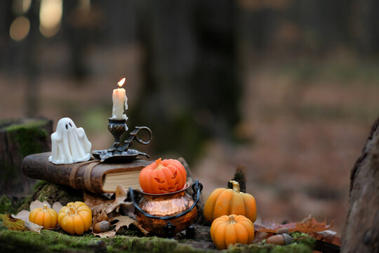 decorative pumpkins, ghost figurine, spell books, candle, magic cauldron in autumn forest. mystery fairy tale scene. samhain, Halloween holidays. Witchcraft, esoteric spiritual ritual. witch aesthetic