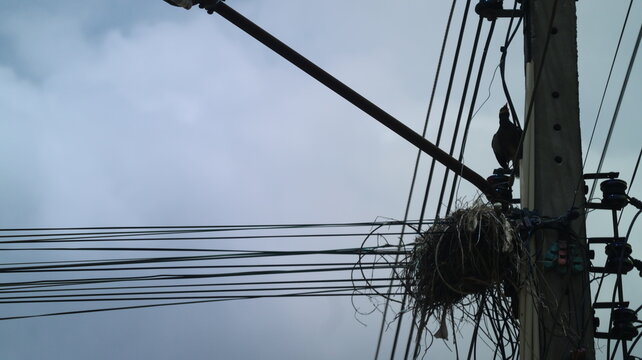 The image features a utility pole with multiple electrical wires extending outward in different directions