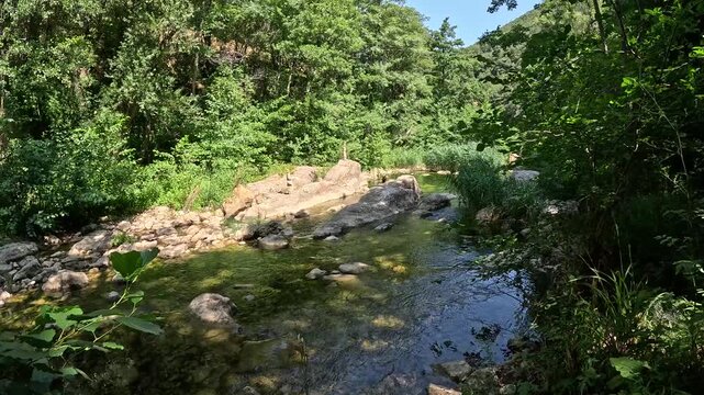 Calm river with rocky bank in green forest valley in Rennes-les-Bains France