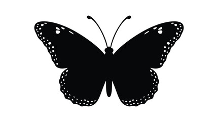 Black butterfly silhouette with dotted wings against a white background silhouette © tawsif