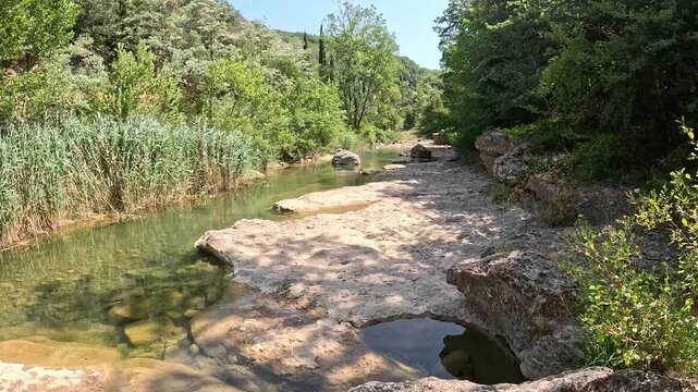 Calm shallow river between reeds and trees in lush gorge, France