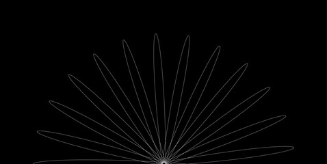 Abstract Radial Geometric Line Pattern Background with Minimal Symmetrical Flower Design on Black © alphabeticmind