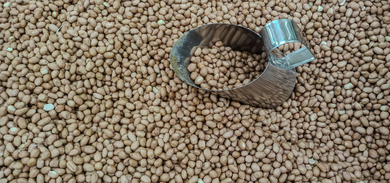 Groundnut, commonly known as the peanut (Arachis hypogaea), is legume, seeds grown that develop underground pods. Native to South America, India is one of the world's largest producers.  