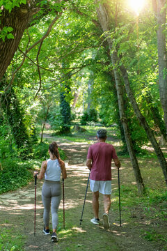 Rear view of a senior man and fitness instructor walking with Nordic poles along a peaceful woodland path, supporting healthy aging, endurance, mobility, and full-body exercise.