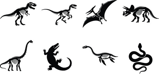 Set of Eight Detailed Black Silhouette Illustrations Showing Various Dinosaur Skeletons and Reptiles © MD JAHID