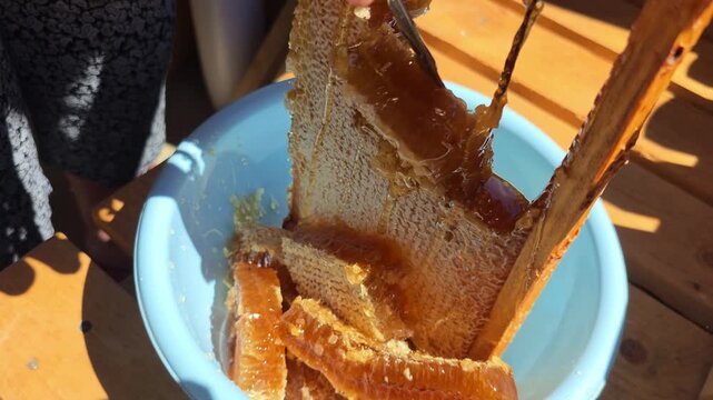 Hands of person cutting fresh natural honeycomb from wooden frame using metal knife, dropping golden liquid honey and wax into blue bowl, product harvest outdoors