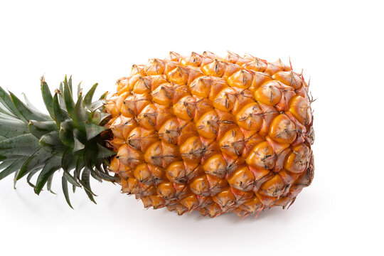 Fresh cut pineapple fruit isolated on white background with clipping path.