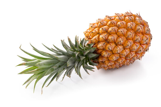 Fresh cut pineapple fruit isolated on white background with clipping path.