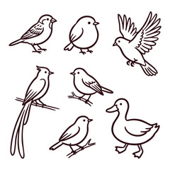 Fototapeta premium Set of cute hand drawn birds including songbirds and a duck in a simple black and white line art style