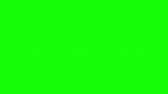 Video Camera Viewfinder Recording Screen Overlay with Green Screen