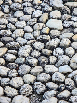 Texture of smooth river stones and white marble pebbles.