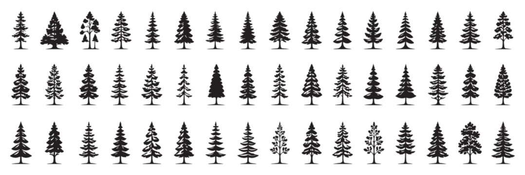 Forest trees set. Isolated vector silhouette. Coniferous forest. Christmas tree, fir-tree, pine, pine-tree, Scotch fir, cedar. A minimalist vector graphic illustration of a mountain landscape .