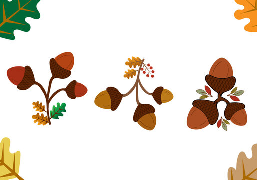 Set of hand drawn acorn illustrations featuring colorful oak leaves for beautiful autumn themed seasonal design projects