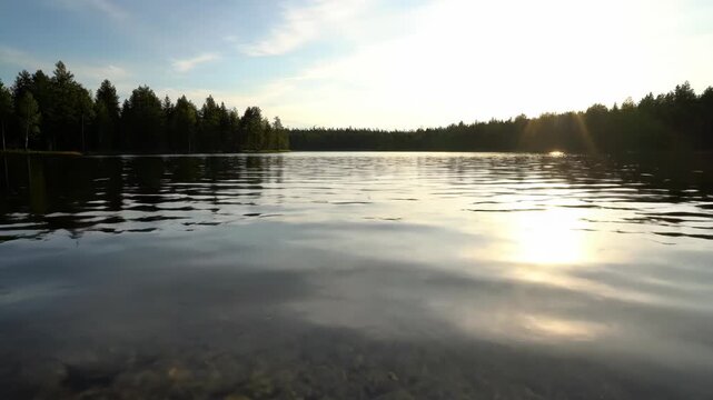 Calm lake at sunset with misty reflections and trees