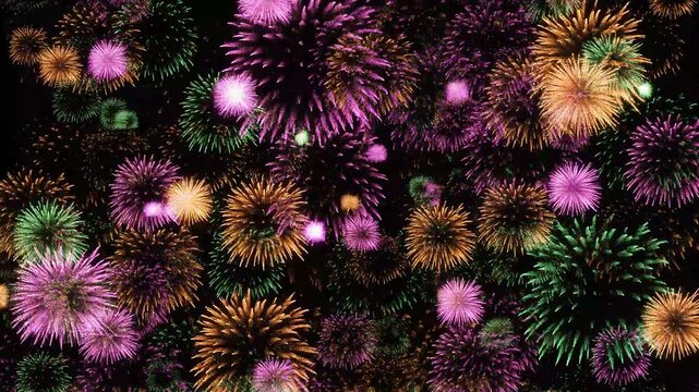 Vibrant purple and orange sea urchins packed tightly together in a marine environment.