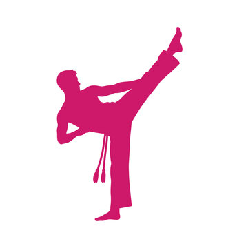 Silhouette of a Capoeira fighter performing a high kick in a dynamic pose