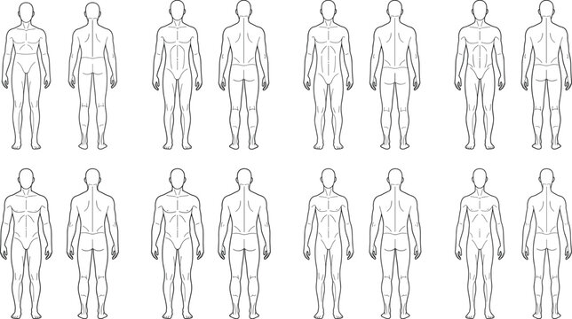 Set of flat color vector male human body anatomy front and back view templates for fashion croquis drawing reference illustration