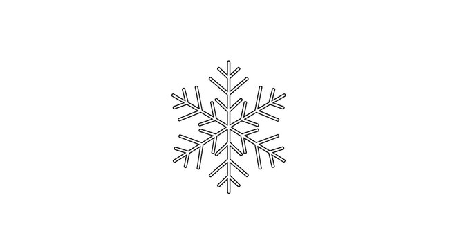 Simple snowflake with detailed icy pattern on white background