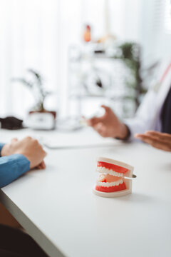 Dentist explaining dental treatment to a patient in a modern office, clearly showing a dental model for detailed oral health education and comprehensive patient care discussion