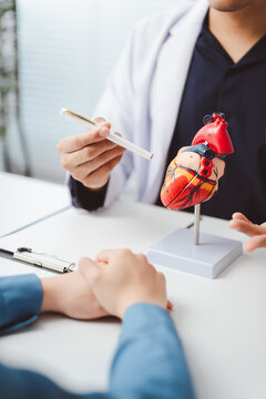 Doctor explaining human heart anatomy to a patient, discussing cardiovascular health, disease prevention, and providing medical consultation on cardiology
