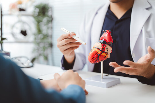 Doctor explaining heart condition to patient using anatomical model, discussing cardiovascular health, disease prevention, and treatment options during medical consultation