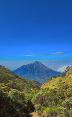 Obraz premium Scenic view of Mount Merapi volcano seen from hiking trail of Mount Merbabu