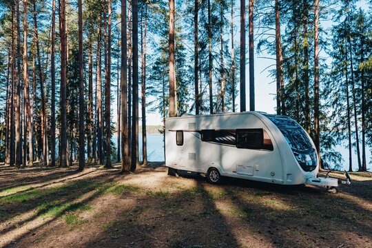 Camper trailer parked among tall pine trees by serene lakeside during clear sunny day