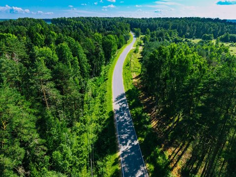 Winding asphalt road through dense green forest under clear blue sky with few clouds