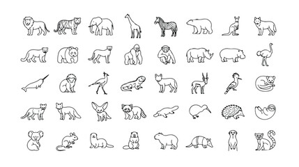 Minimalist animal icons set, 40 wild animal line art vector illustrations, simple black outline zoo and safari wildlife symbols for educational design © sajida